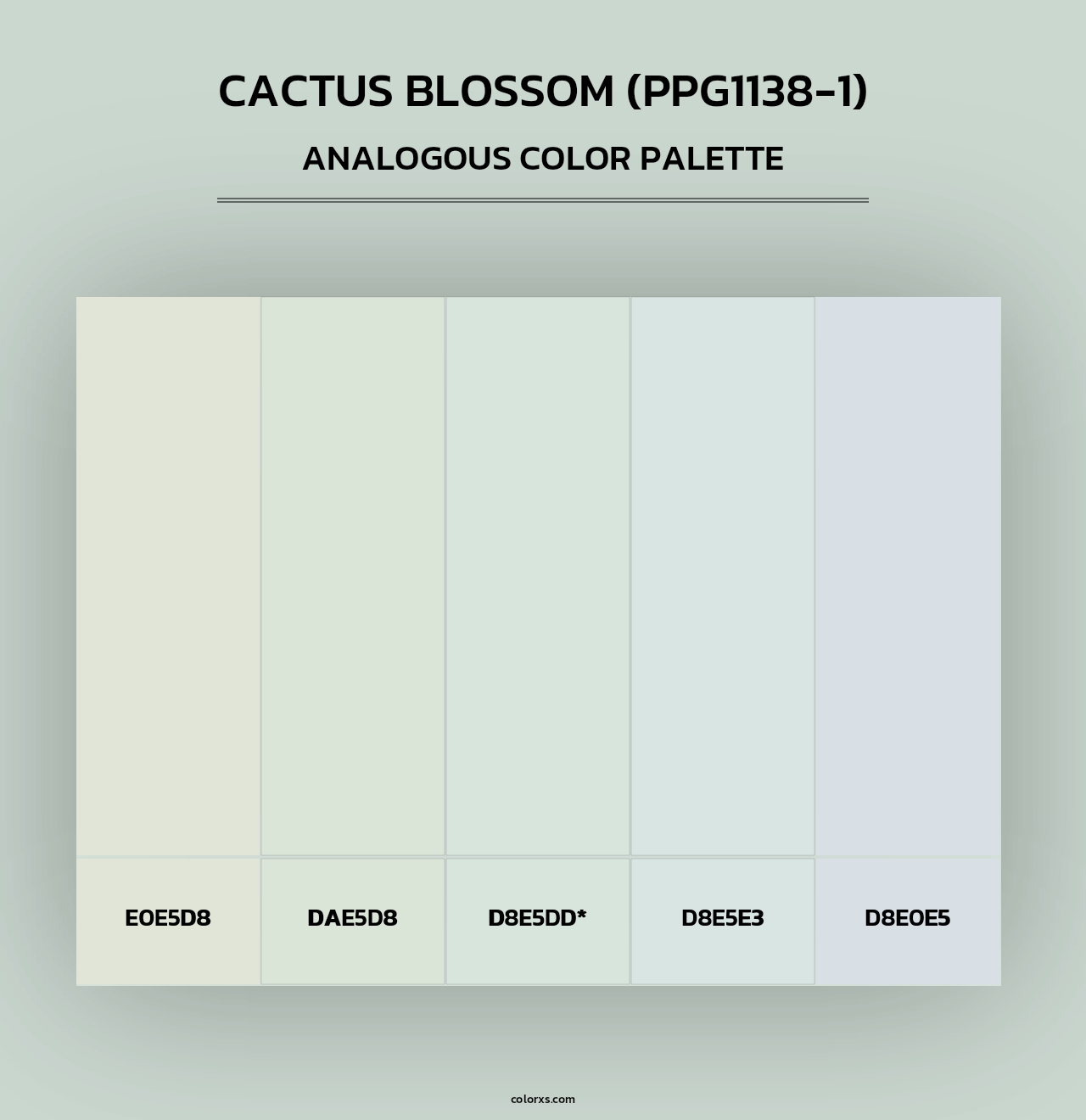 Cactus Blossom (PPG1138-1) - Analogous Color Palette