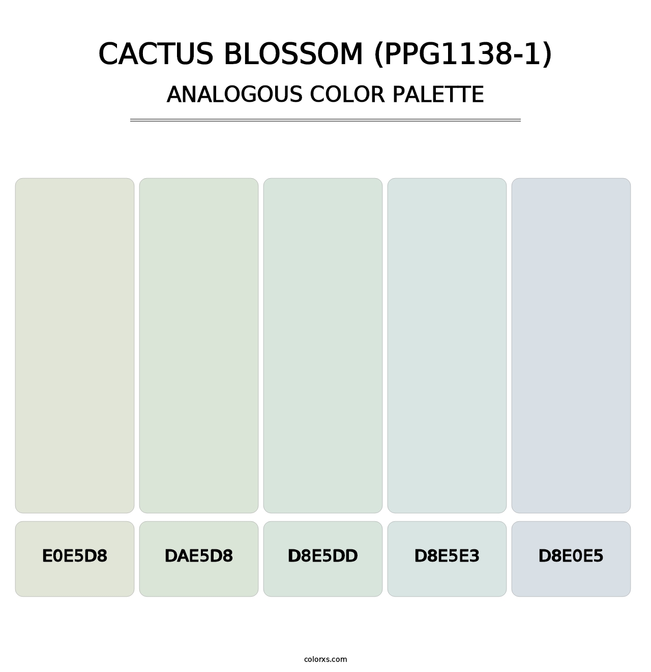 Cactus Blossom (PPG1138-1) - Analogous Color Palette