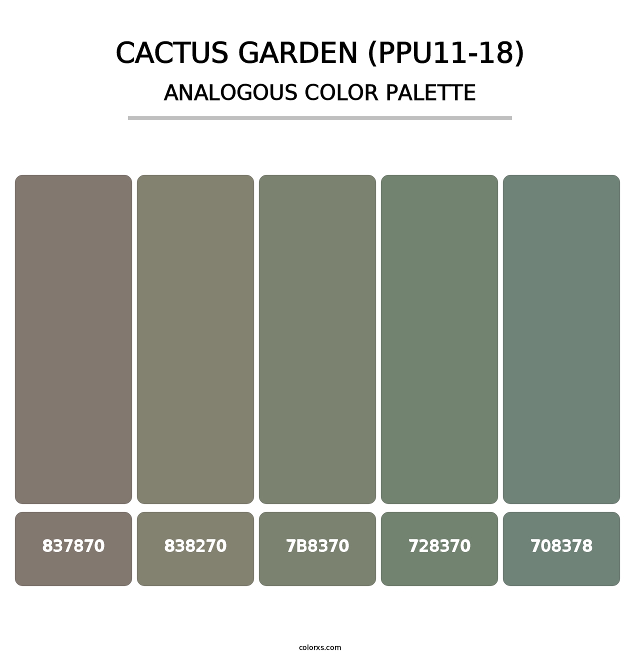 Cactus Garden (PPU11-18) - Analogous Color Palette