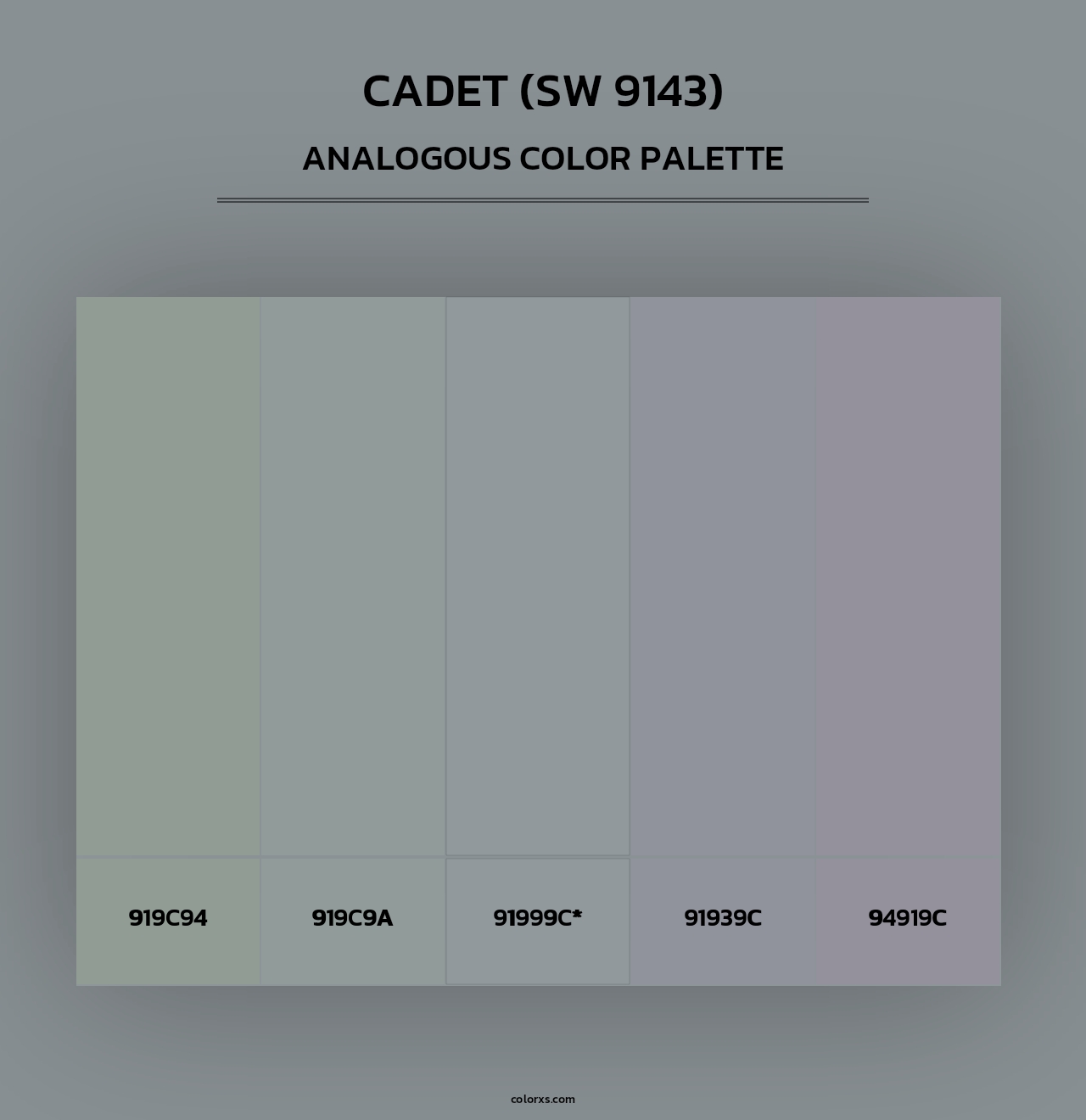 Cadet (SW 9143) - Analogous Color Palette