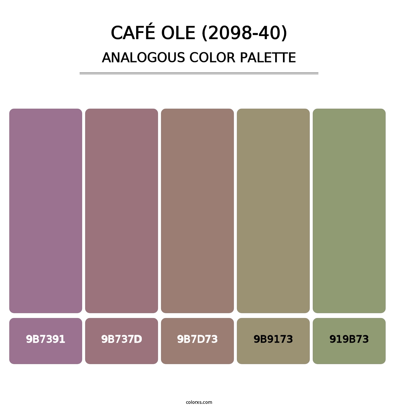 Café Ole (2098-40) - Analogous Color Palette