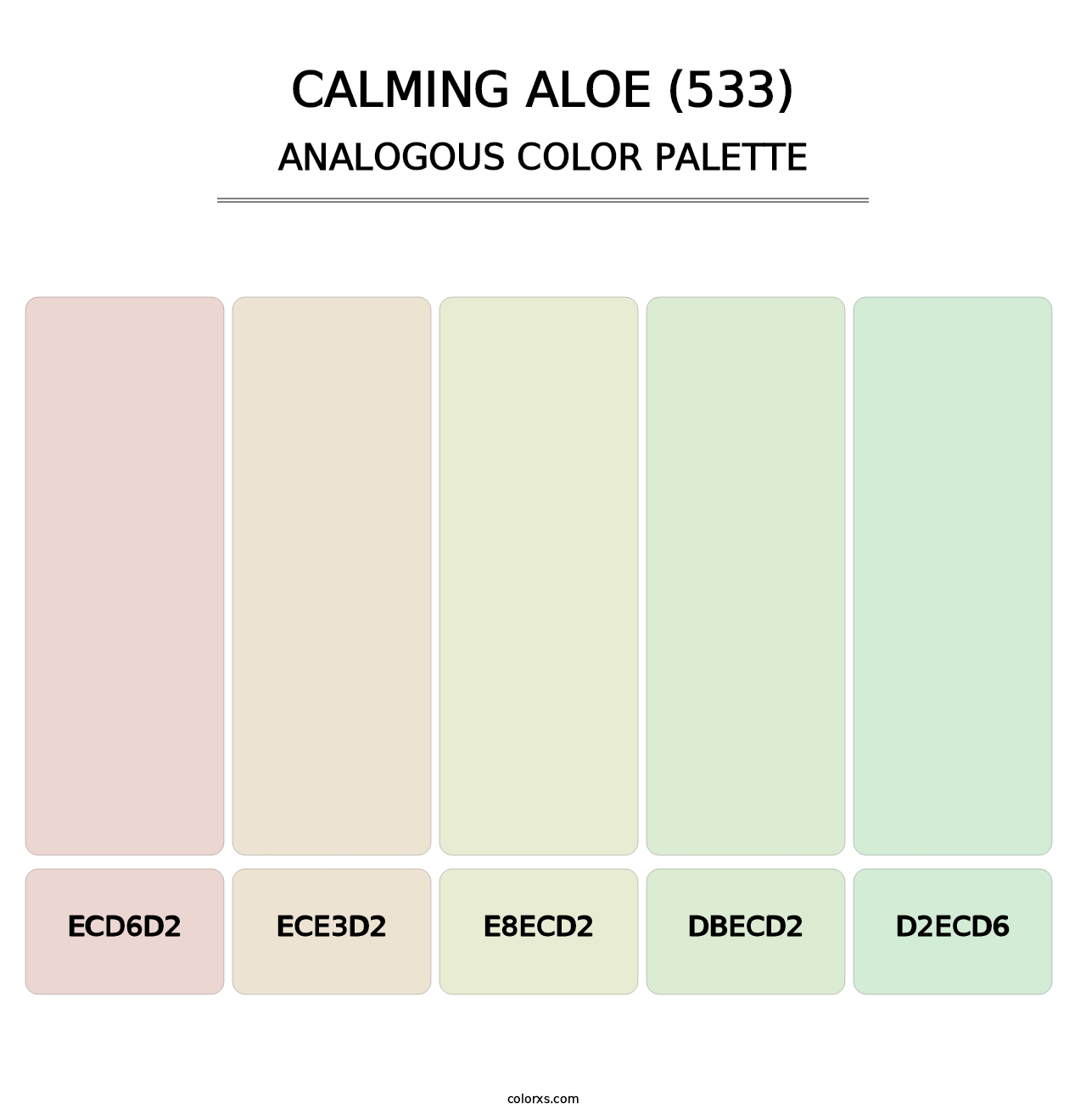 Calming Aloe (533) - Analogous Color Palette