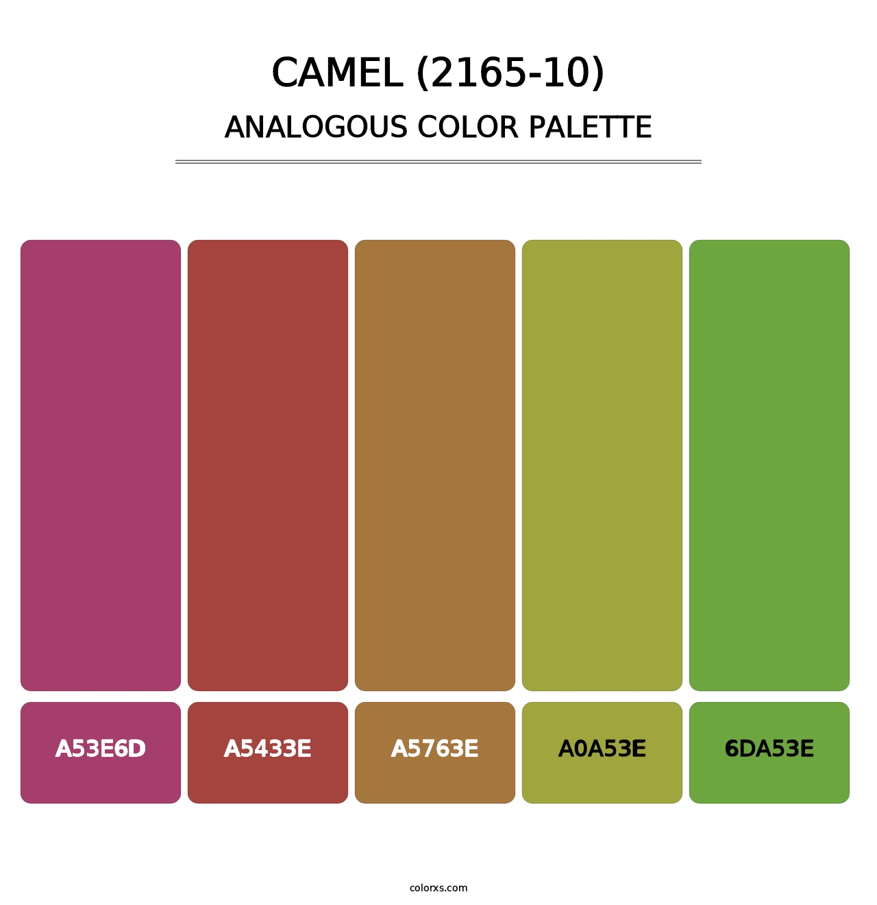 Camel (2165-10) - Analogous Color Palette