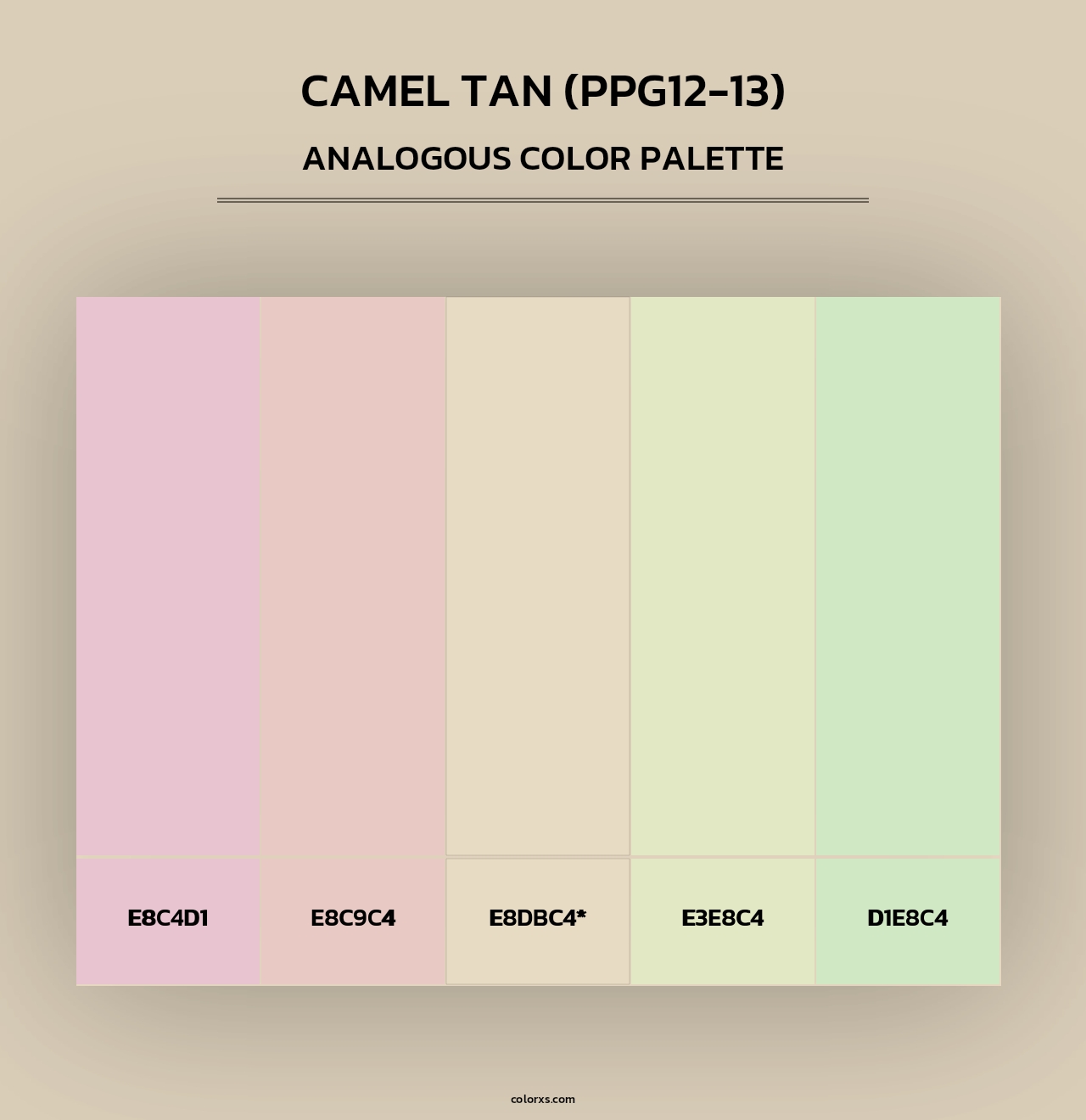 Camel Tan (PPG12-13) - Analogous Color Palette