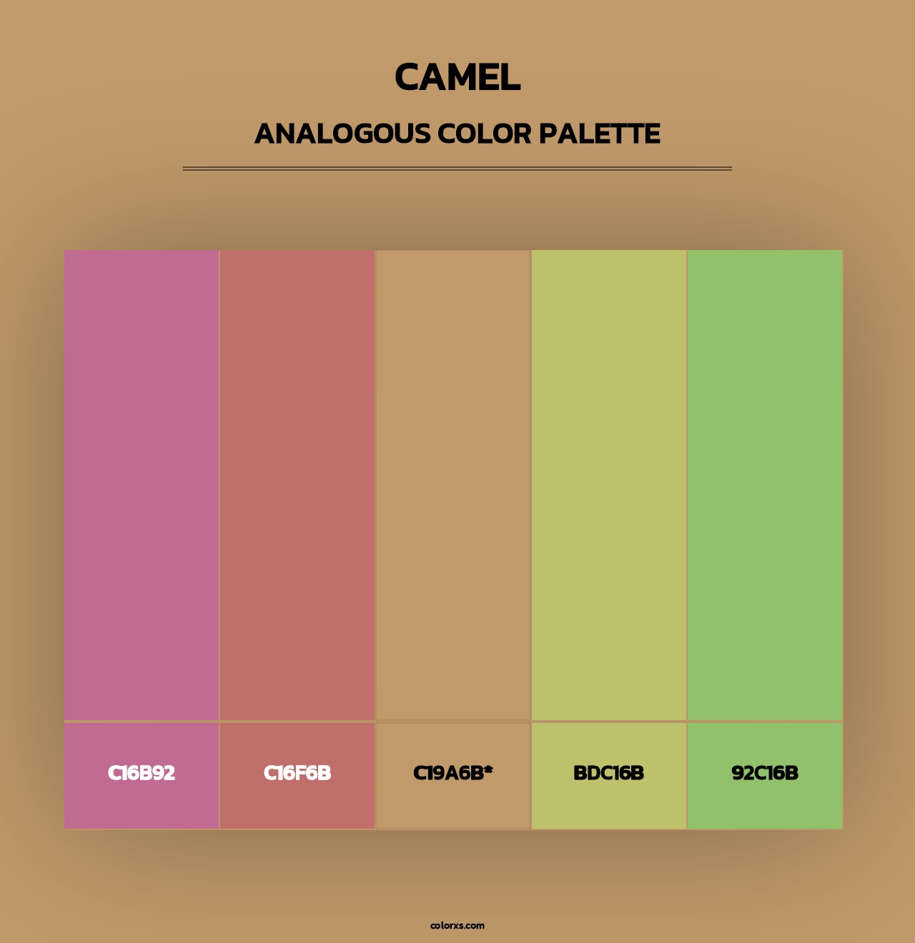 Camel - Analogous Color Palette