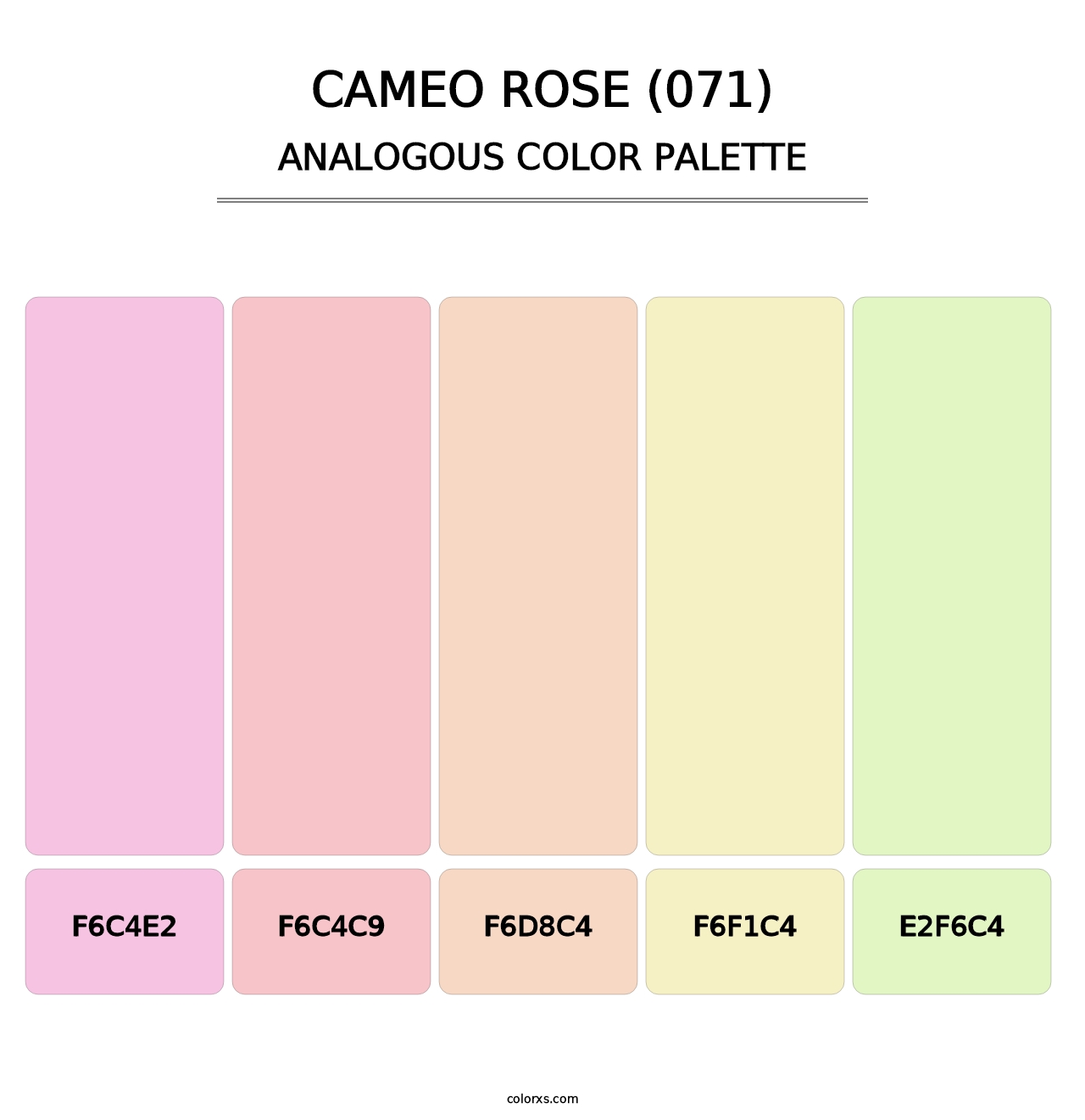 Cameo Rose (071) - Analogous Color Palette