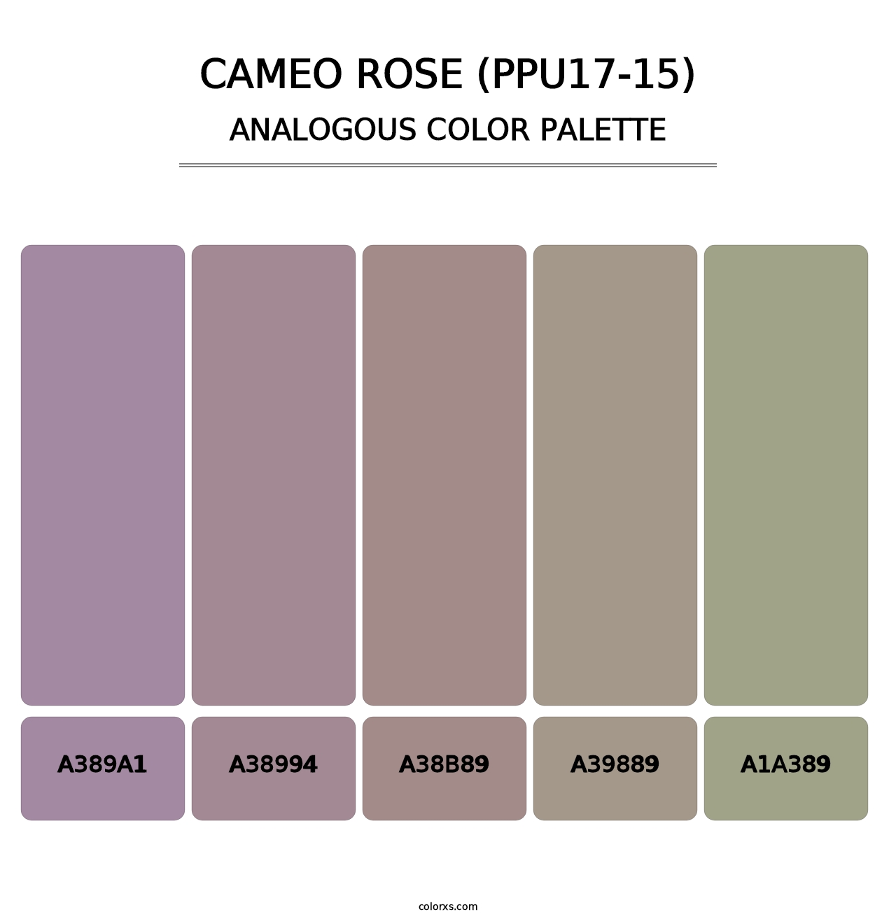 Cameo Rose (PPU17-15) - Analogous Color Palette
