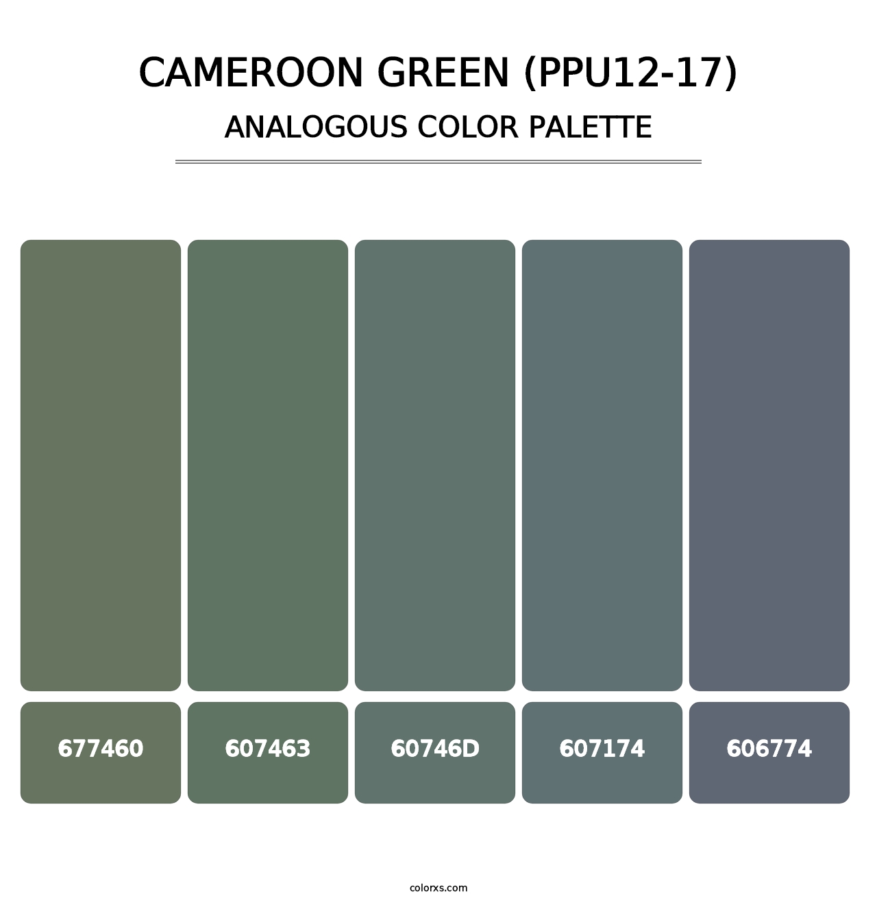 Cameroon Green (PPU12-17) - Analogous Color Palette