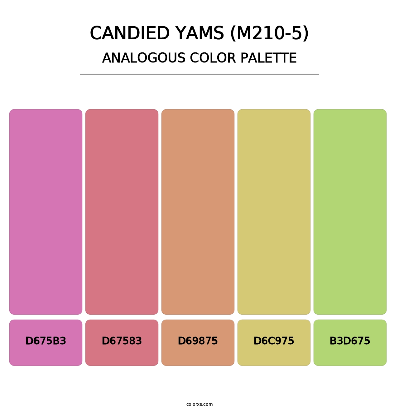 Candied Yams (M210-5) - Analogous Color Palette