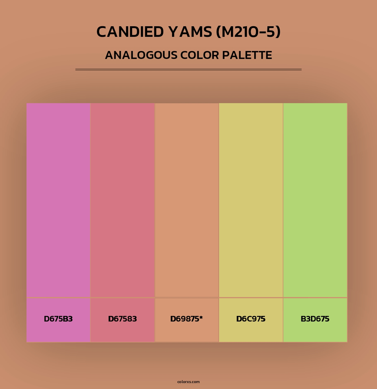 Candied Yams (M210-5) - Analogous Color Palette