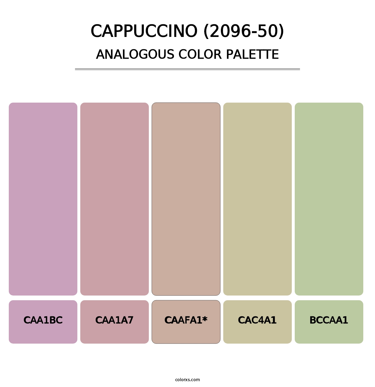 Cappuccino (2096-50) - Analogous Color Palette