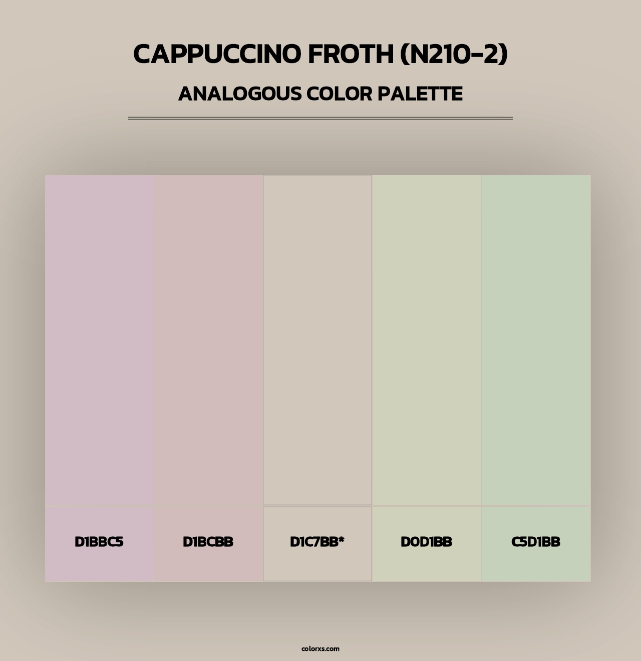 Cappuccino Froth (N210-2) - Analogous Color Palette