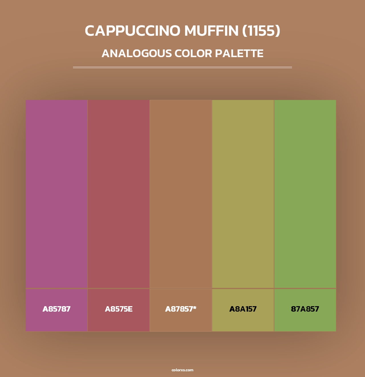 Cappuccino Muffin (1155) - Analogous Color Palette