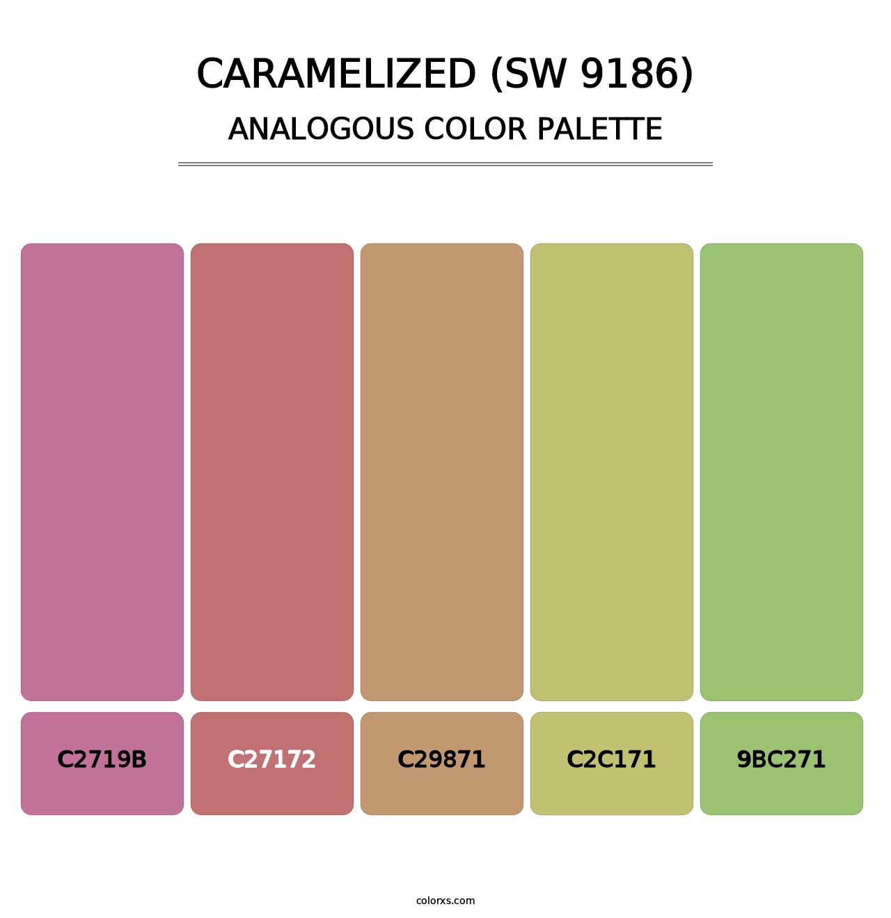 Caramelized (SW 9186) - Analogous Color Palette