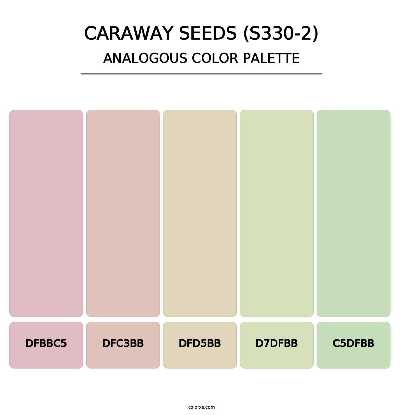 Caraway Seeds (S330-2) - Analogous Color Palette