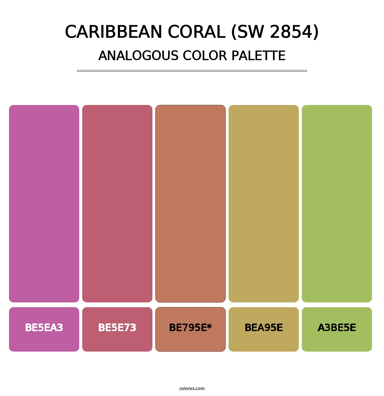 Caribbean Coral (SW 2854) - Analogous Color Palette