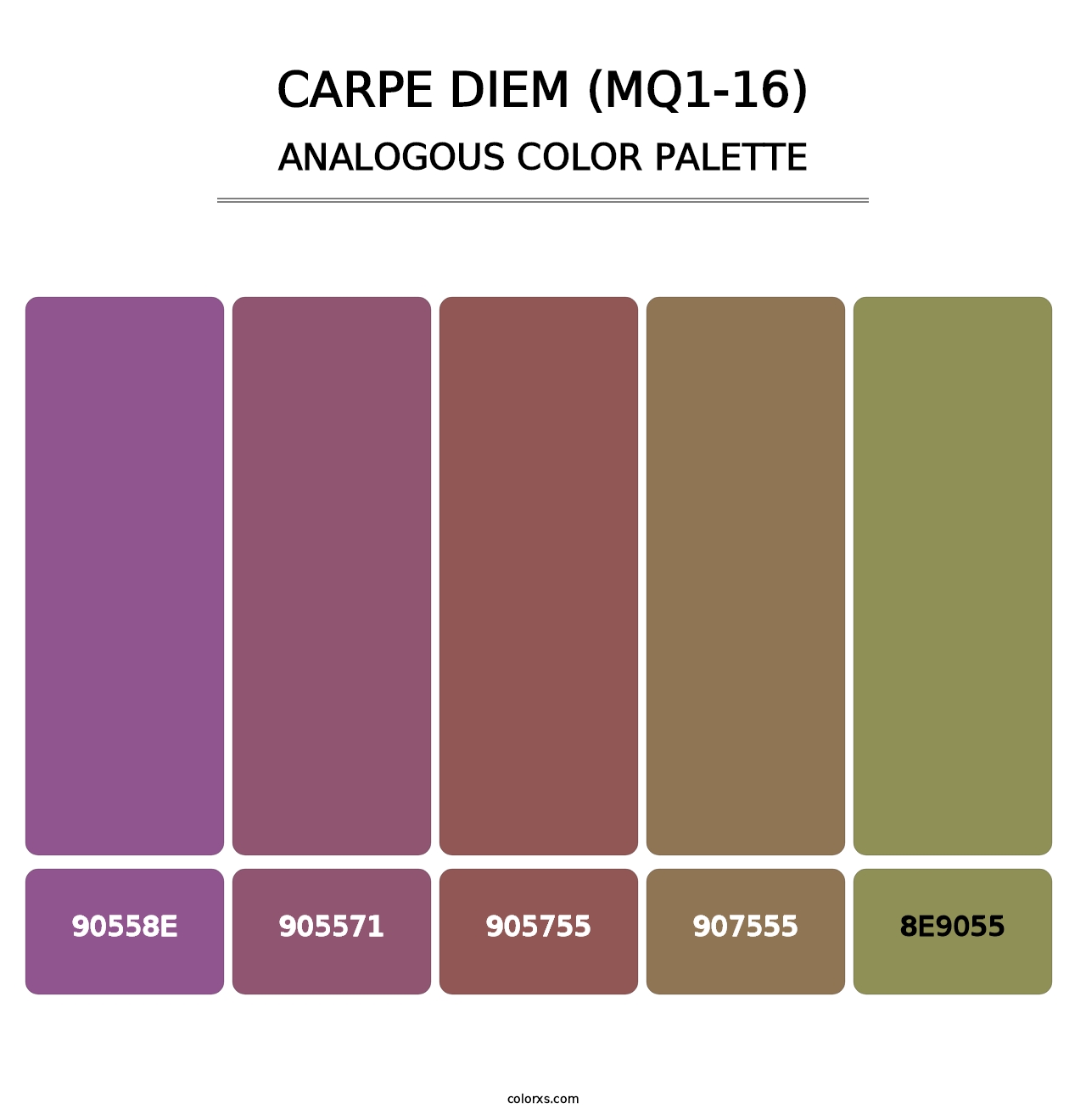 Carpe Diem (MQ1-16) - Analogous Color Palette