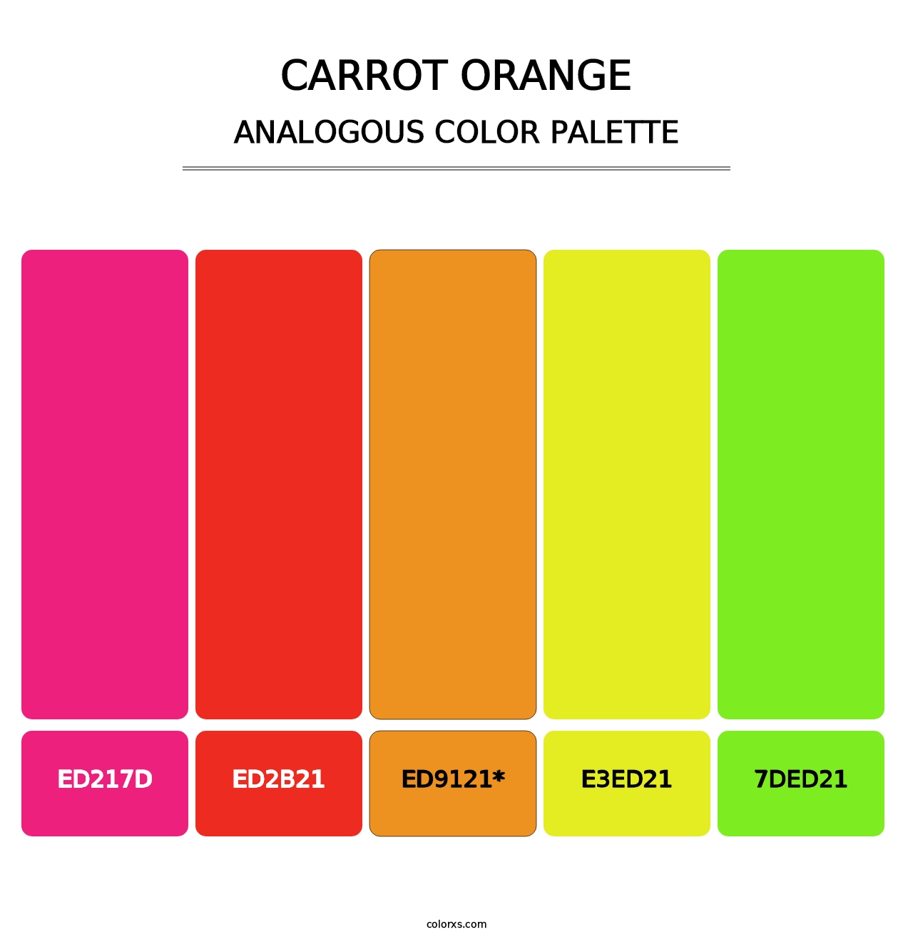 Carrot Orange - Analogous Color Palette