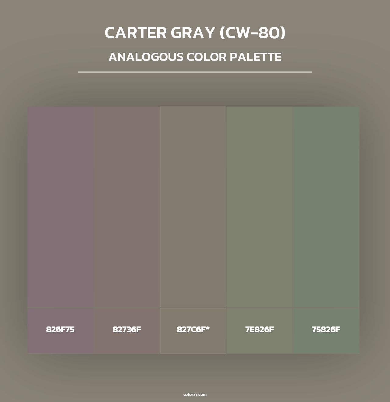 Carter Gray (CW-80) - Analogous Color Palette