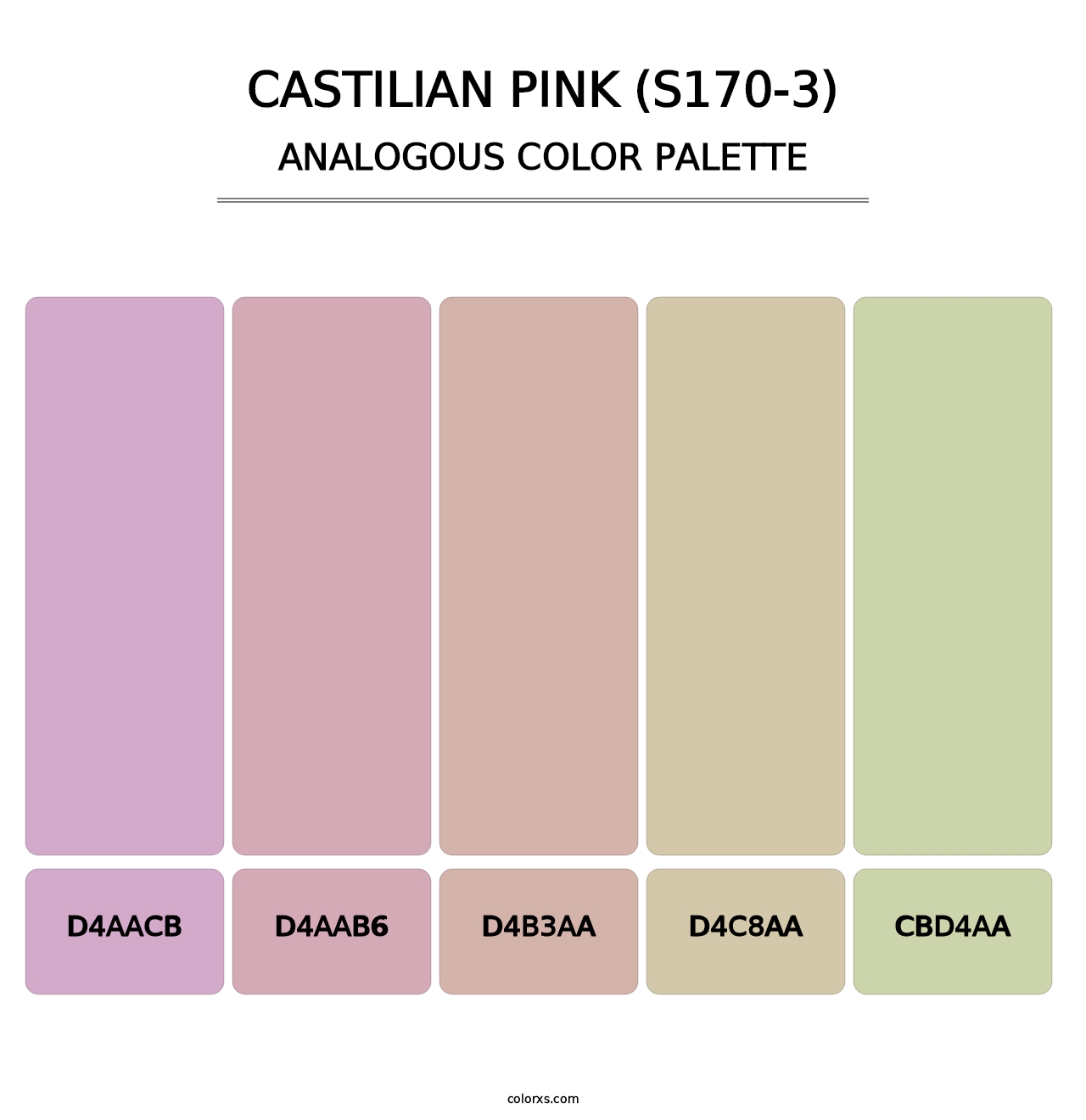 Castilian Pink (S170-3) - Analogous Color Palette
