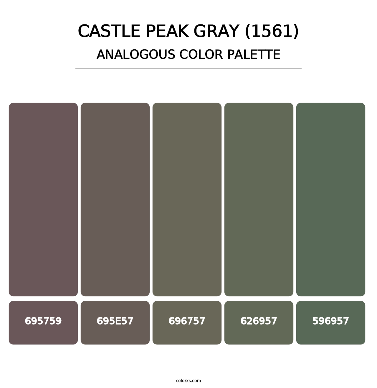 Castle Peak Gray (1561) - Analogous Color Palette