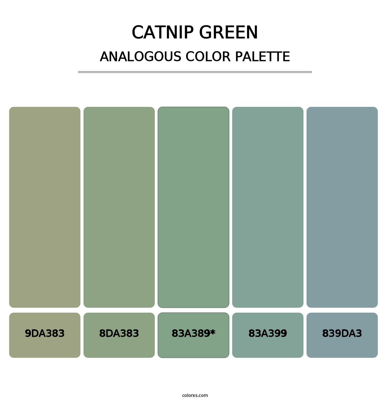 Catnip Green - Analogous Color Palette