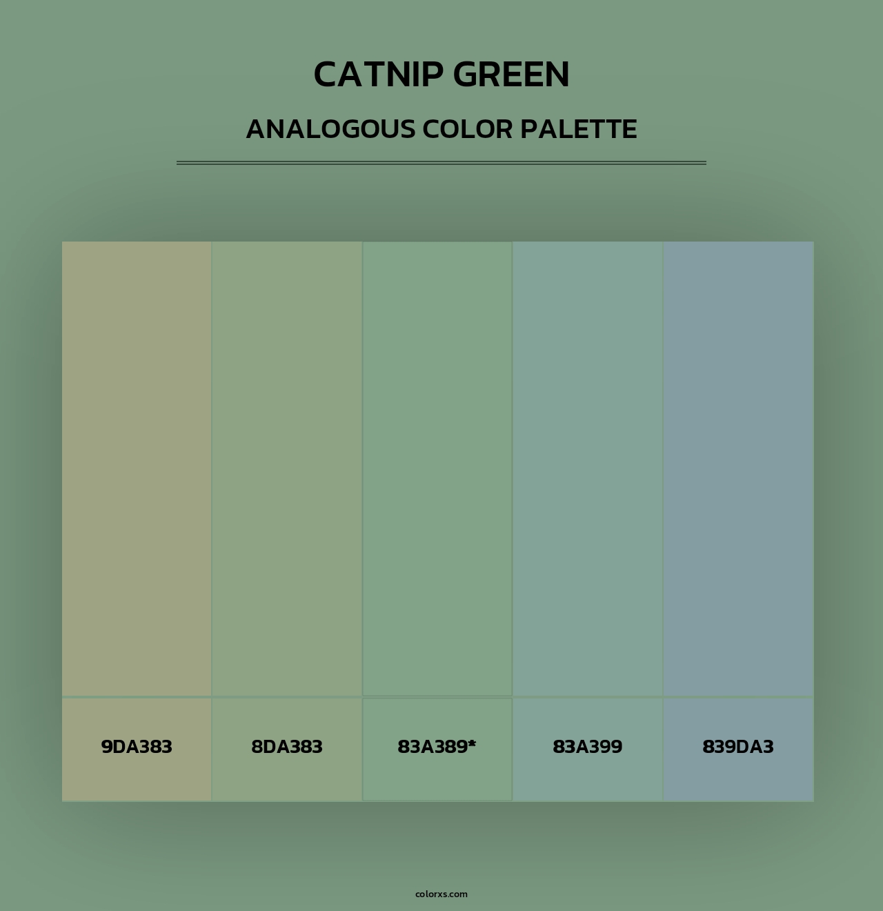 Catnip Green - Analogous Color Palette