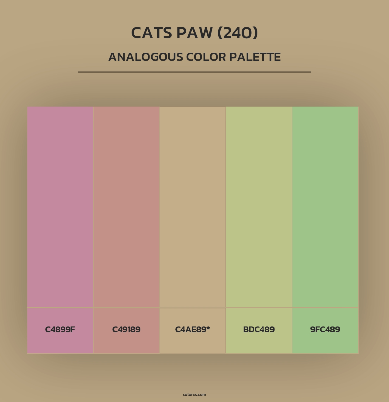 Cats Paw (240) - Analogous Color Palette