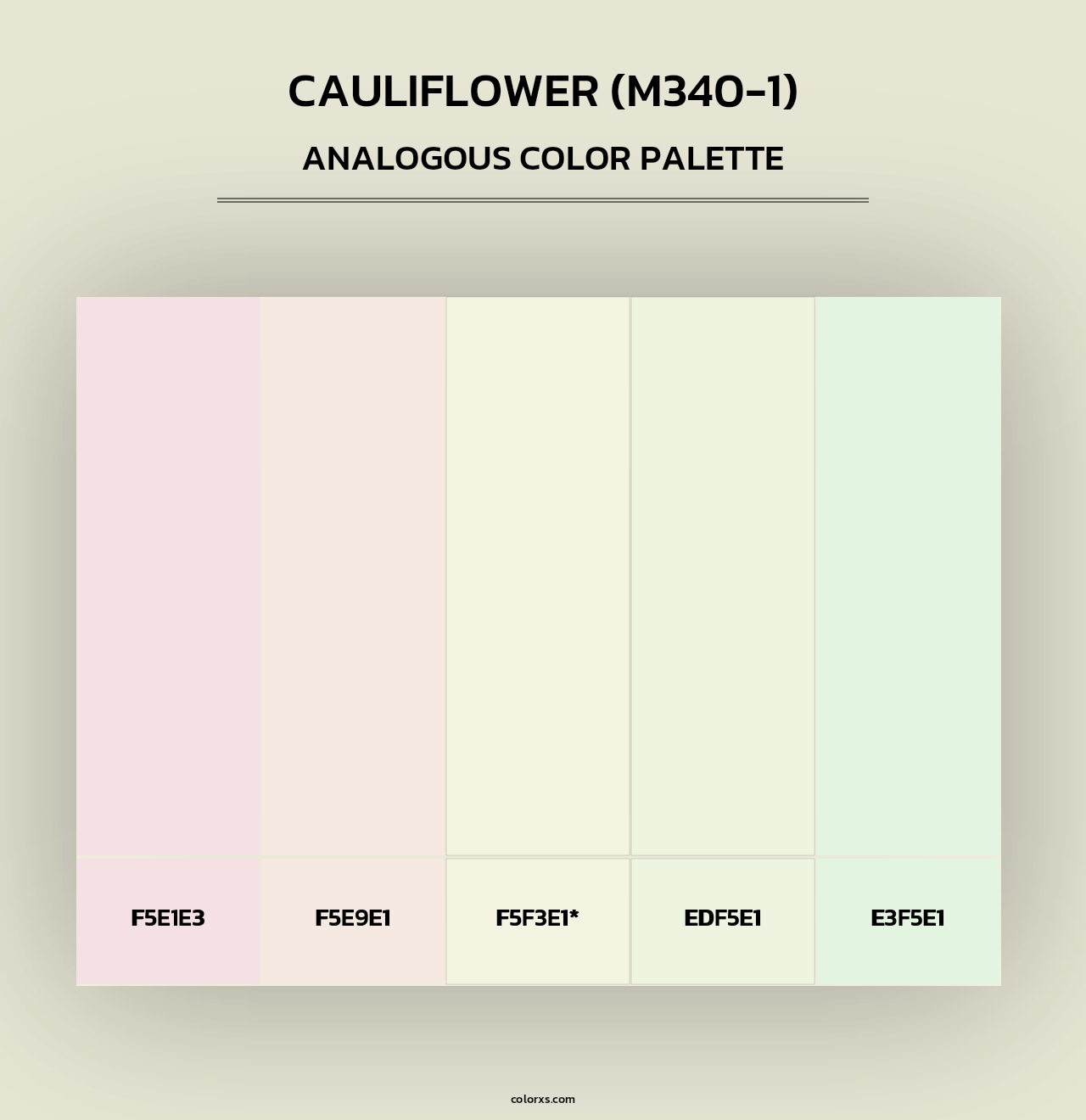 Cauliflower (M340-1) - Analogous Color Palette