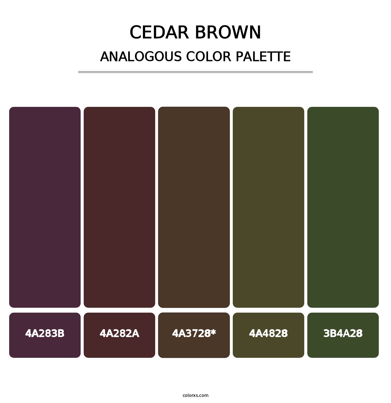 Cedar Brown - Analogous Color Palette