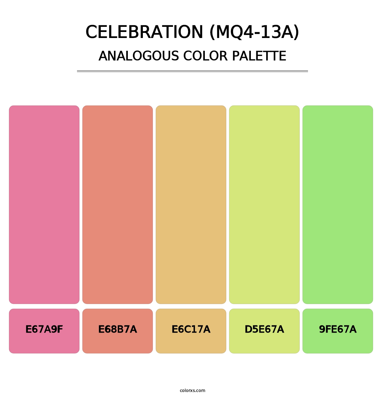 Celebration (MQ4-13A) - Analogous Color Palette