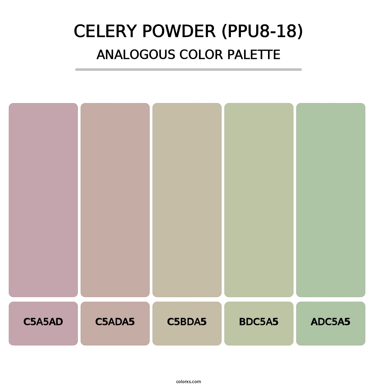 Celery Powder (PPU8-18) - Analogous Color Palette