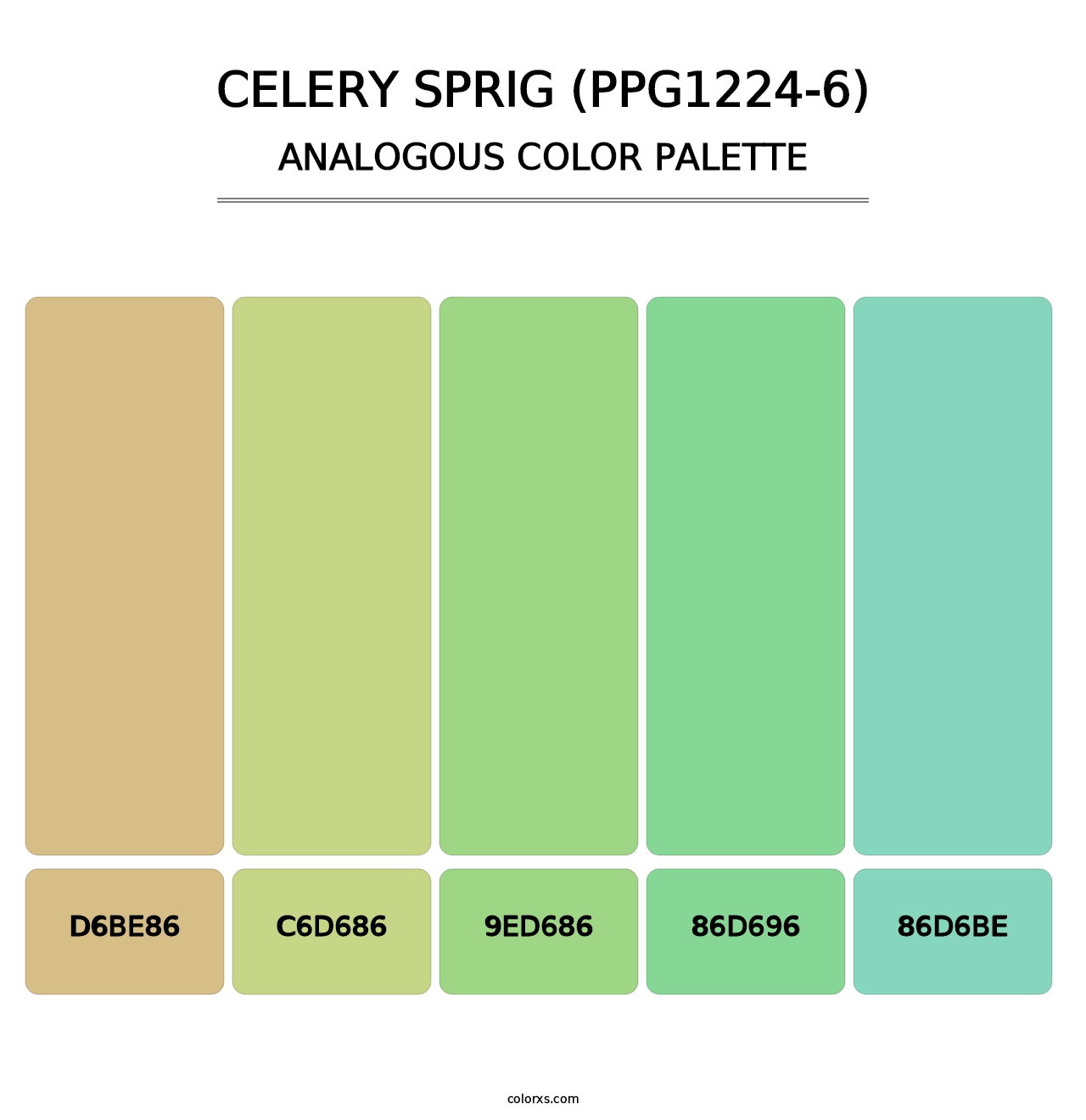 Celery Sprig (PPG1224-6) - Analogous Color Palette