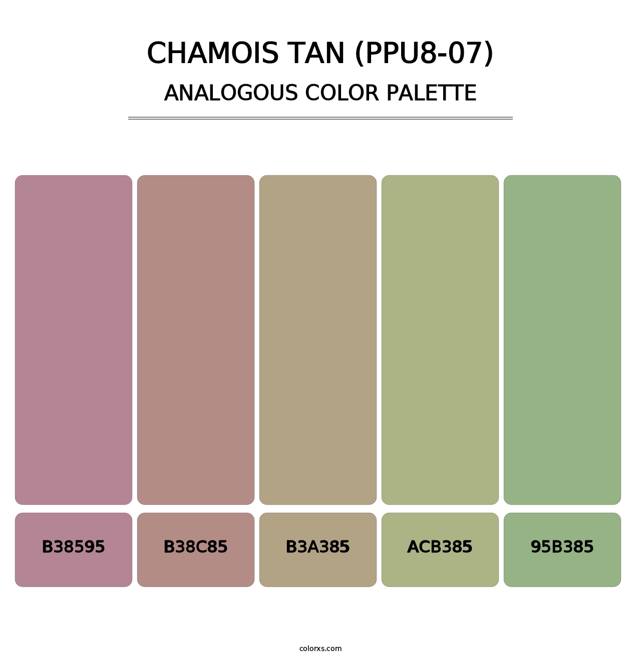 Chamois Tan (PPU8-07) - Analogous Color Palette