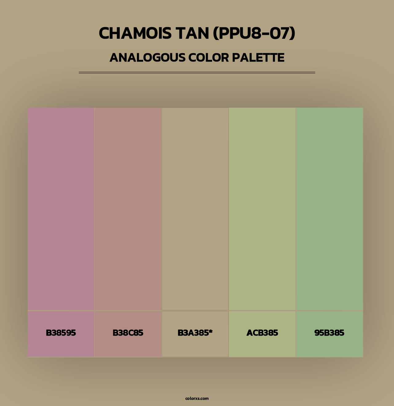 Chamois Tan (PPU8-07) - Analogous Color Palette