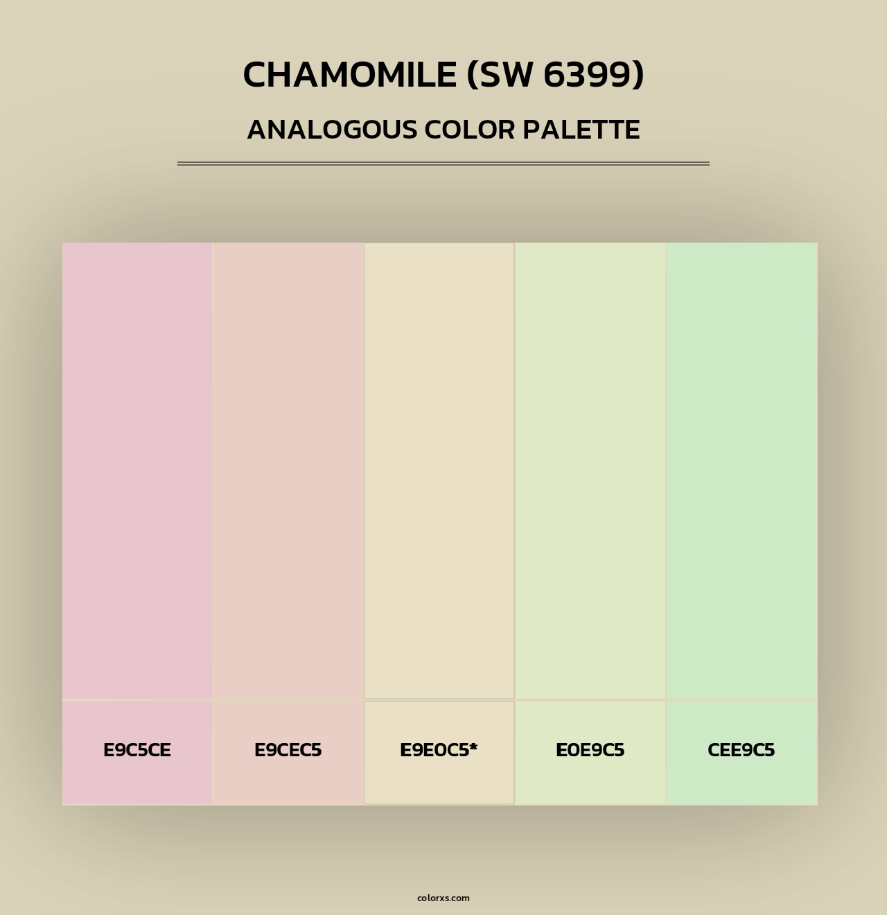 Chamomile (SW 6399) - Analogous Color Palette