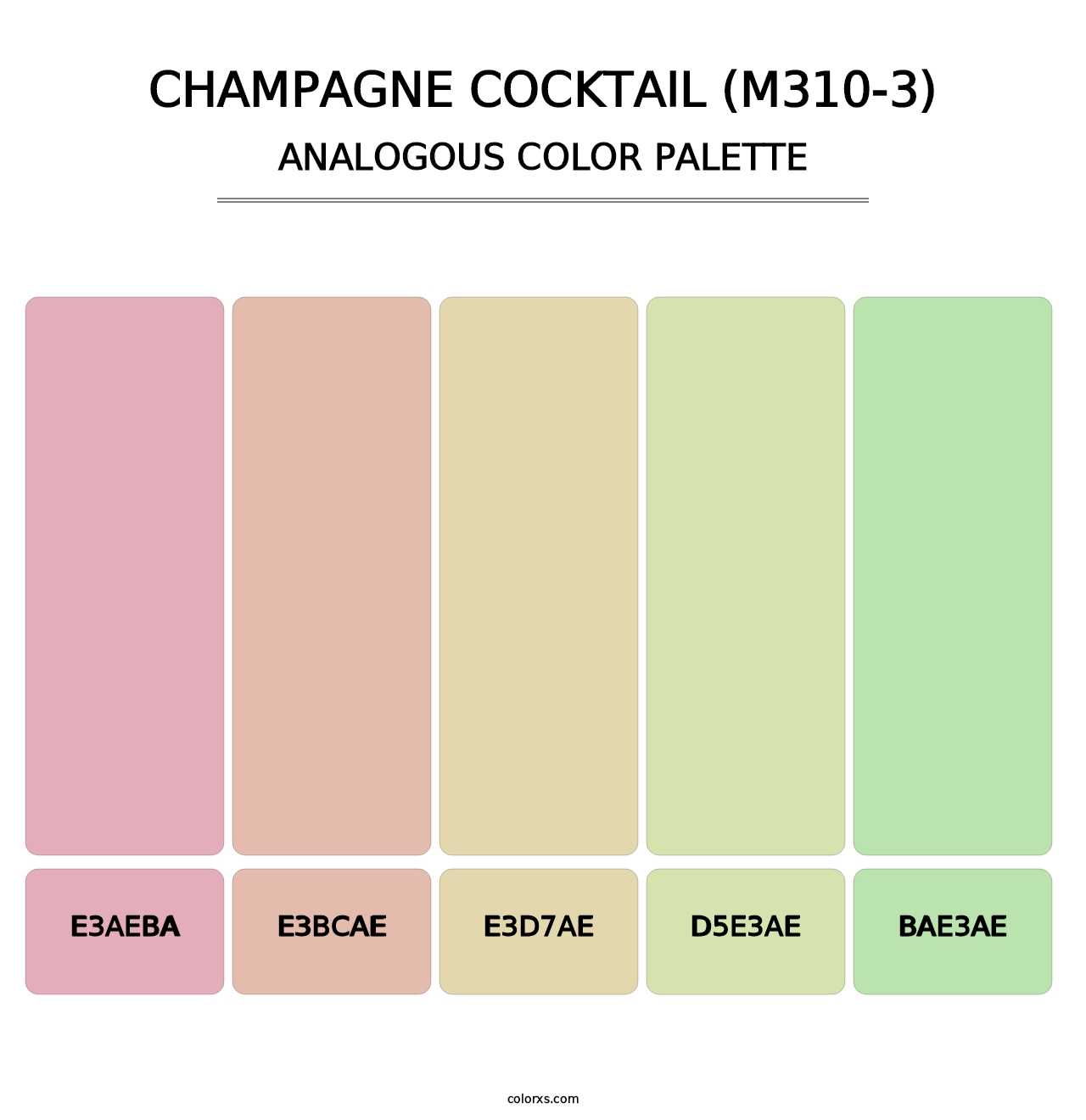 Champagne Cocktail (M310-3) - Analogous Color Palette