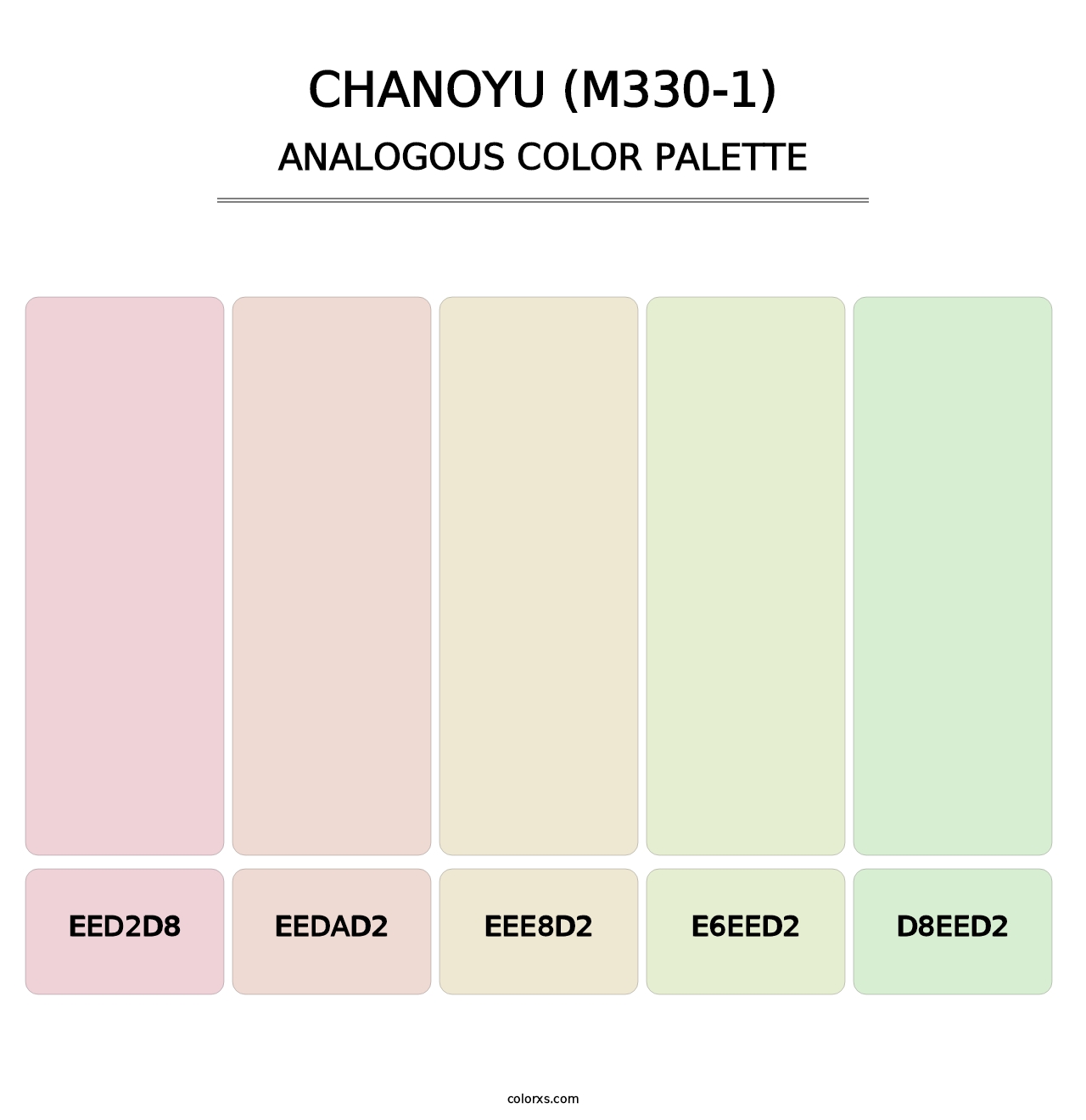 Chanoyu (M330-1) - Analogous Color Palette