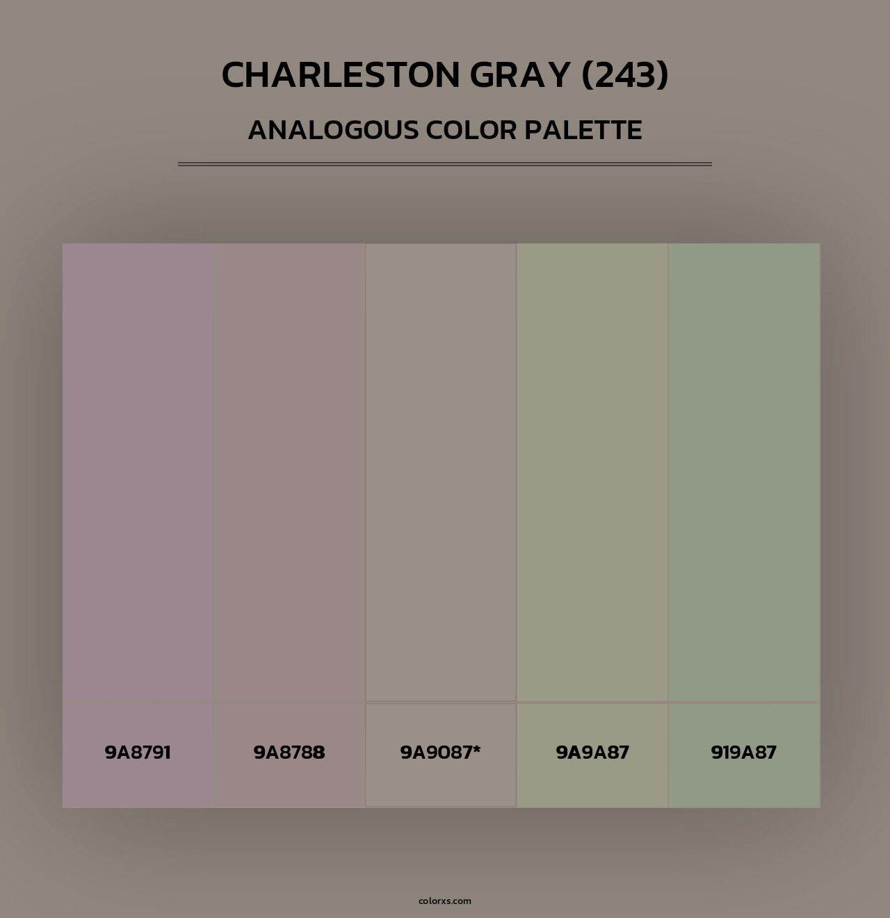 Charleston Gray (243) - Analogous Color Palette