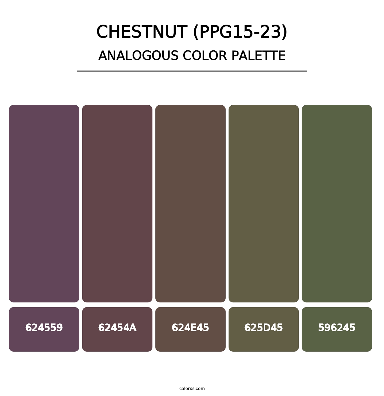 Chestnut (PPG15-23) - Analogous Color Palette