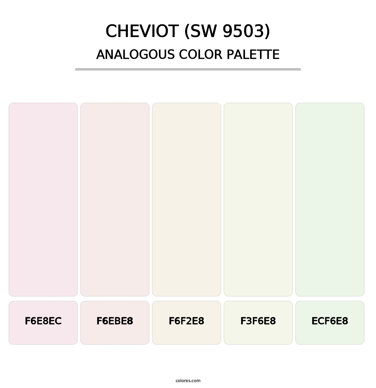 Cheviot (SW 9503) - Analogous Color Palette