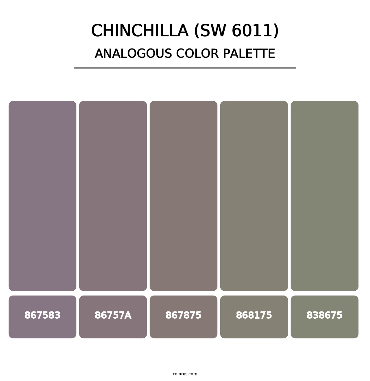 Chinchilla (SW 6011) - Analogous Color Palette