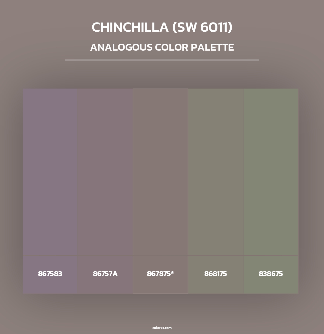 Chinchilla (SW 6011) - Analogous Color Palette