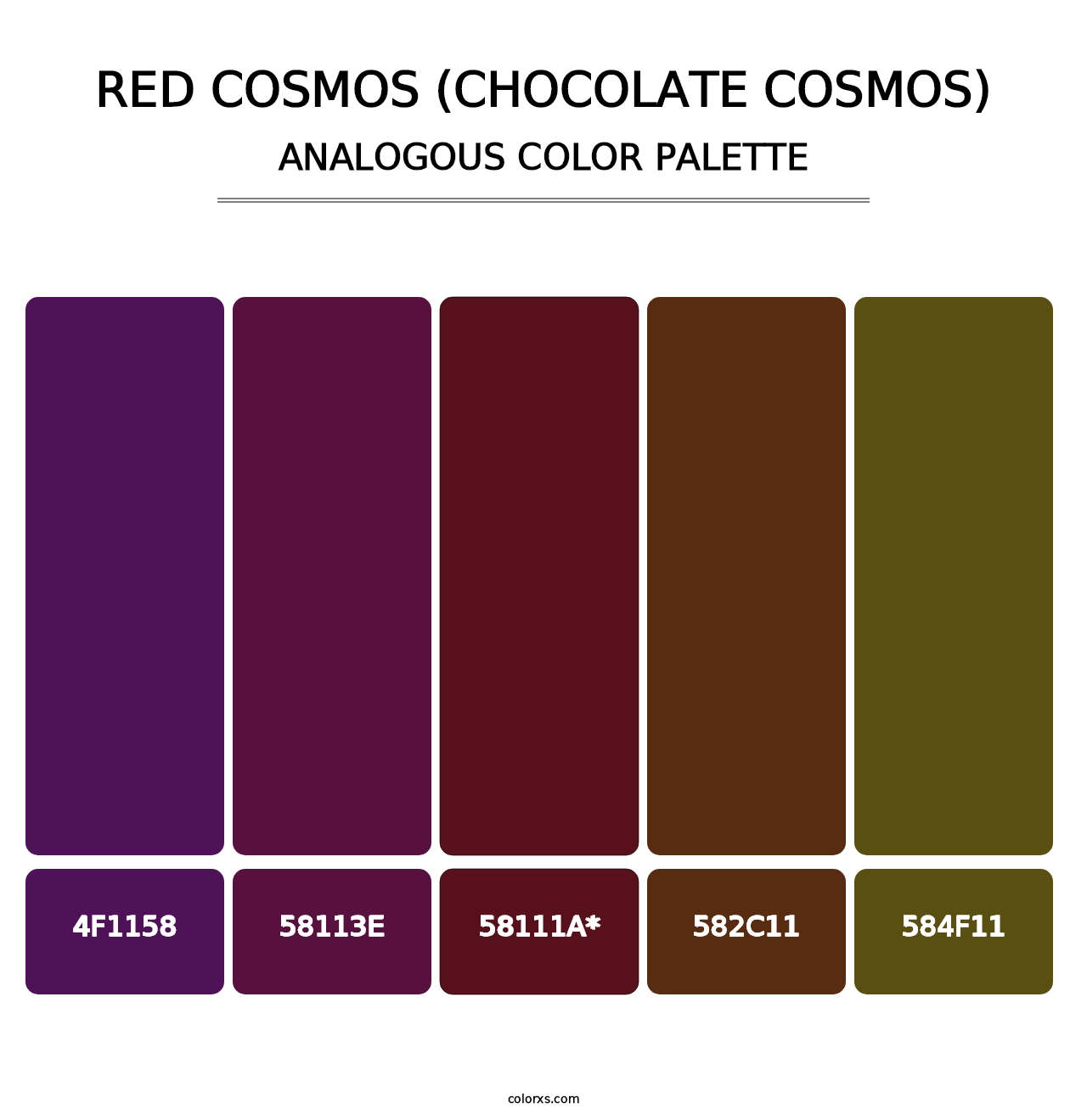 Red Cosmos (Chocolate Cosmos) - Analogous Color Palette