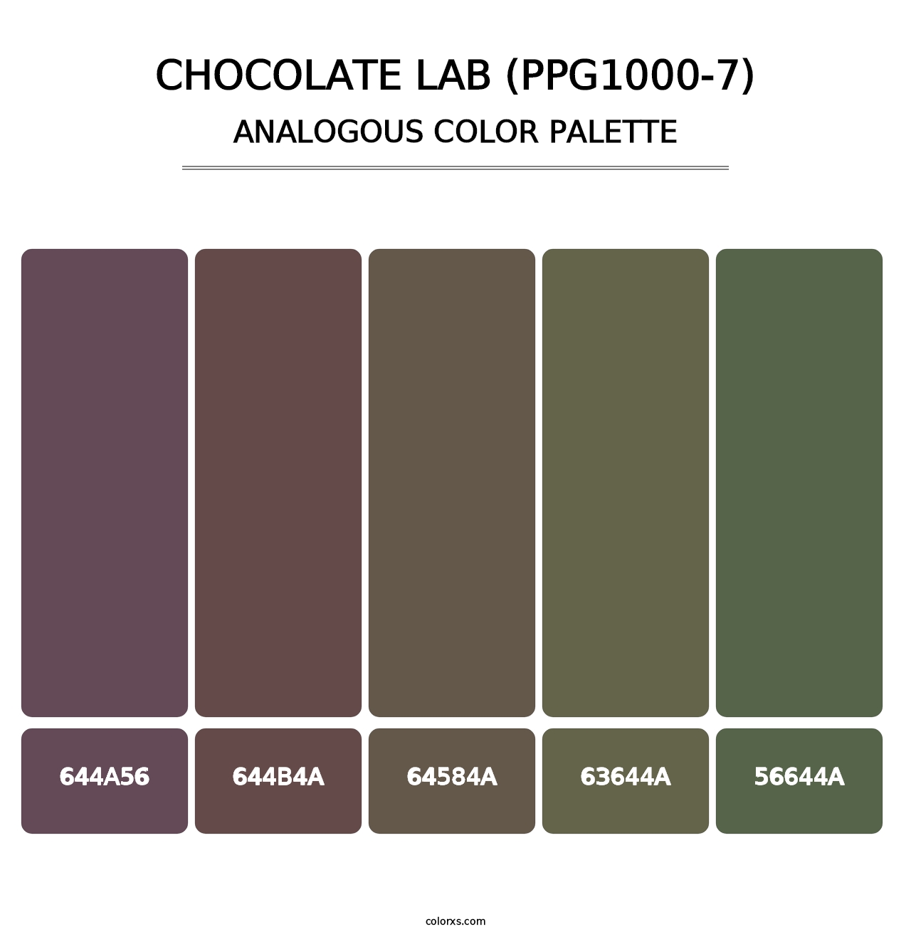 Chocolate Lab (PPG1000-7) - Analogous Color Palette
