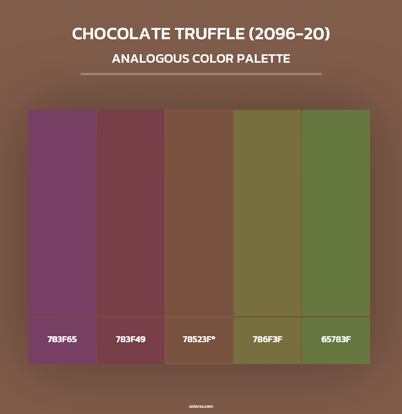 Chocolate Truffle (2096-20) - Analogous Color Palette
