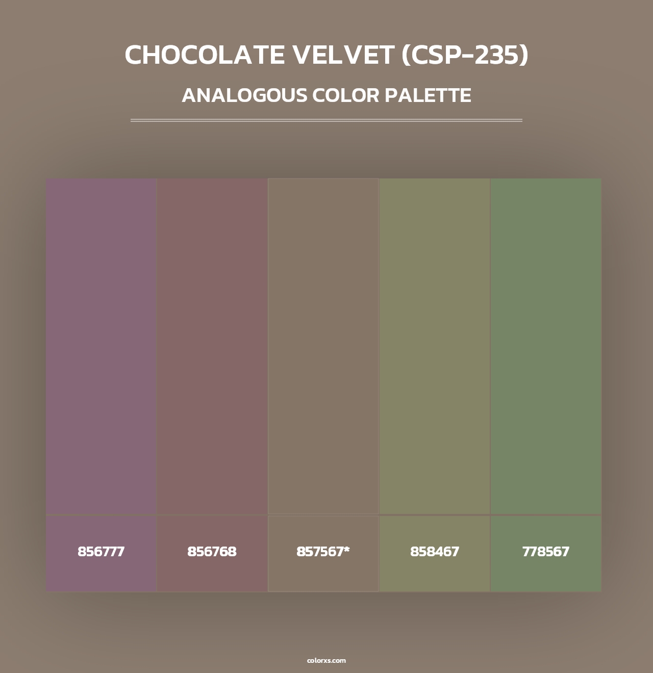 Chocolate Velvet (CSP-235) - Analogous Color Palette