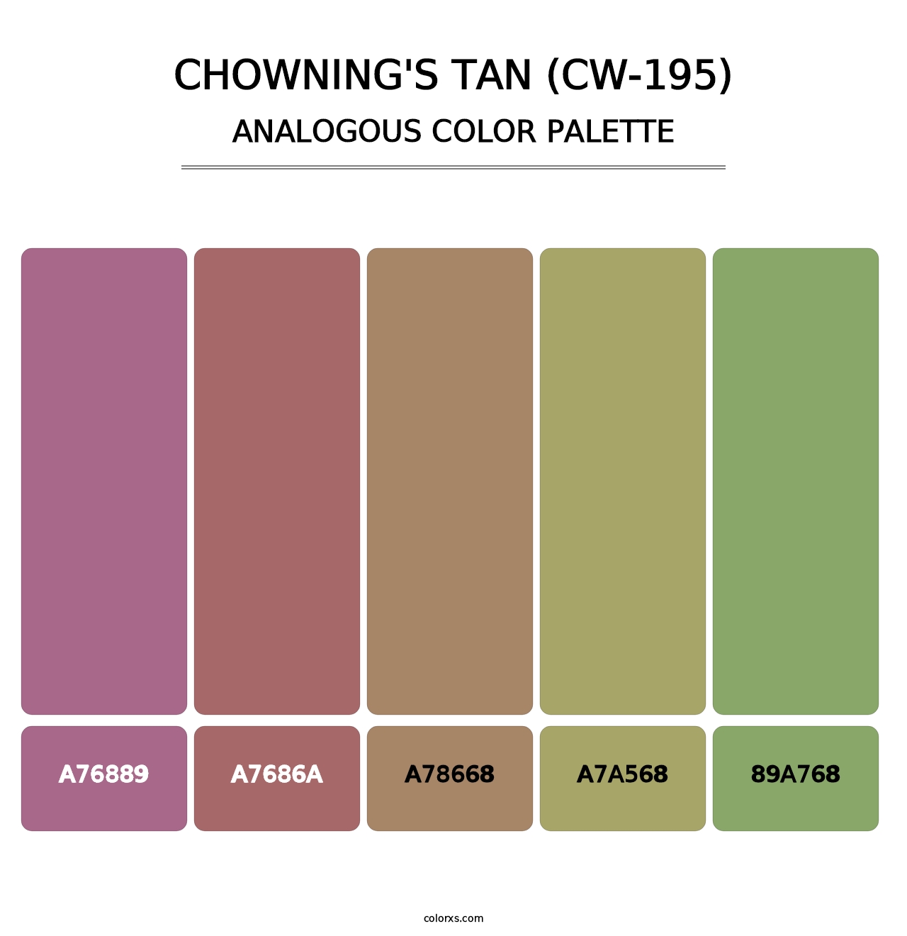 Chowning's Tan (CW-195) - Analogous Color Palette