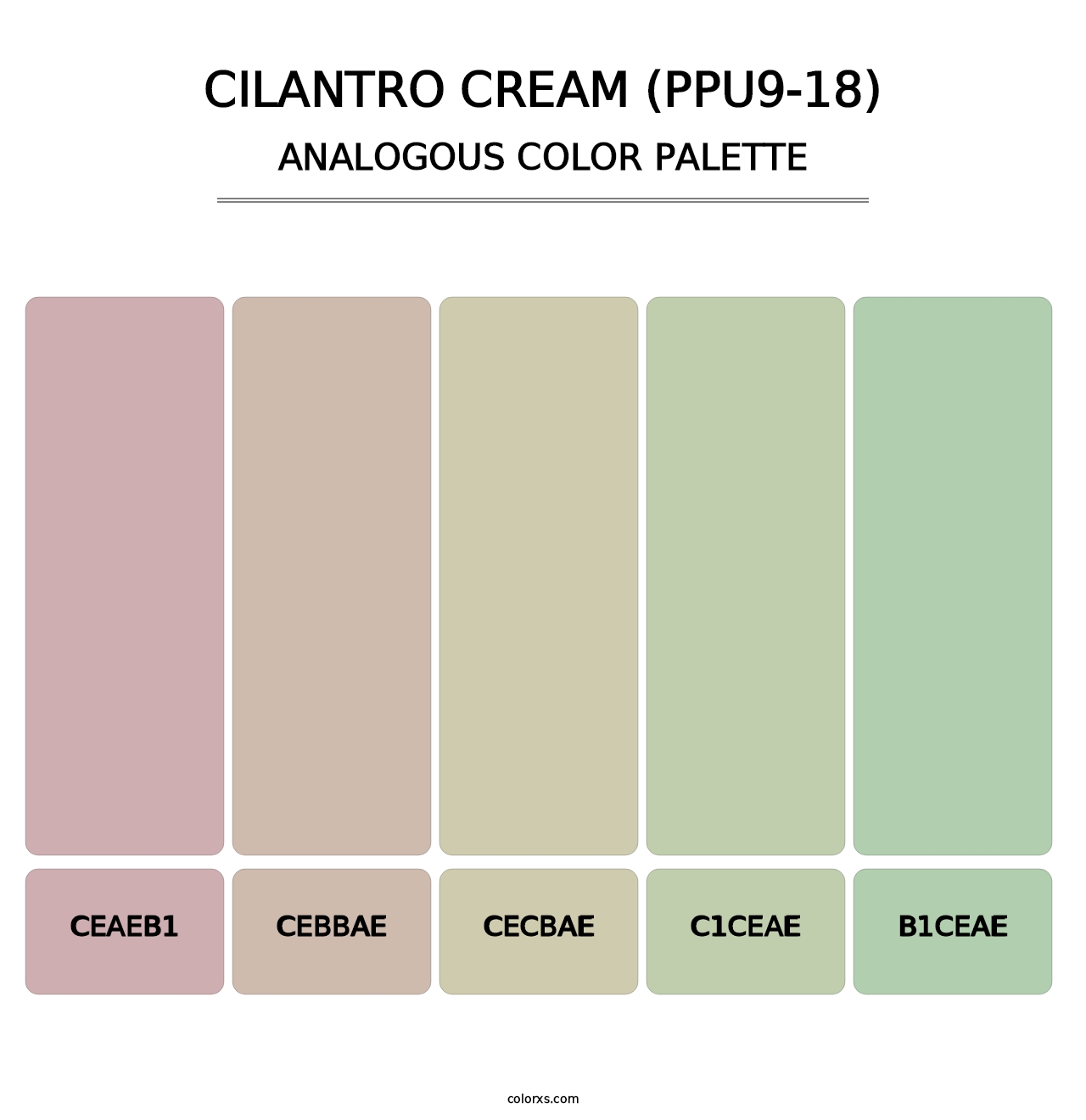 Cilantro Cream (PPU9-18) - Analogous Color Palette