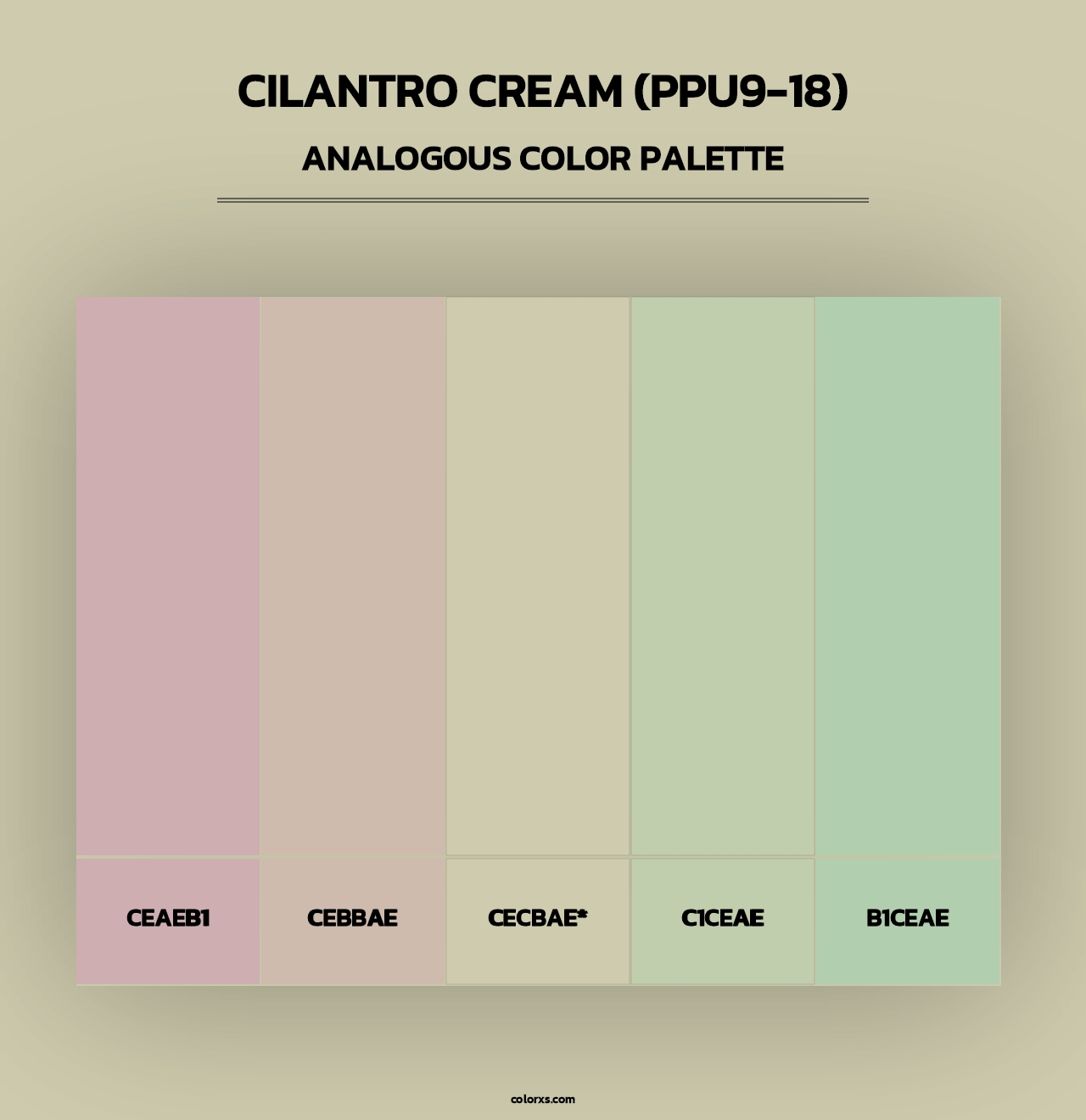 Cilantro Cream (PPU9-18) - Analogous Color Palette